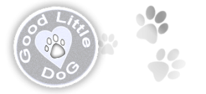 Good Little Dog Training Services